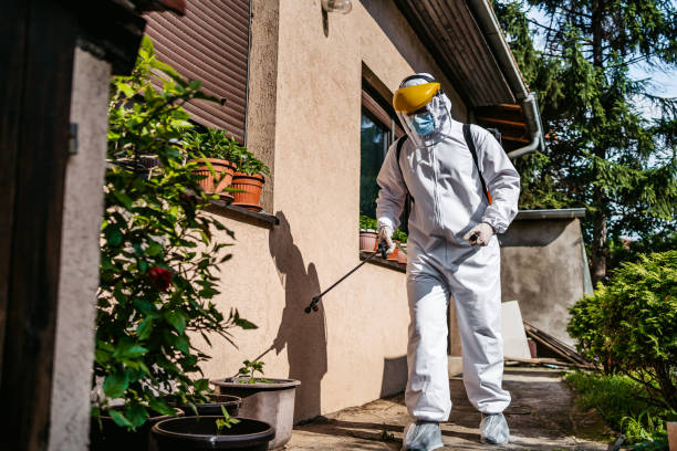 Best Pest Control Near Me in Hannibal, MO
