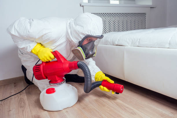Best Pest Prevention Services  in Hannibal, MO