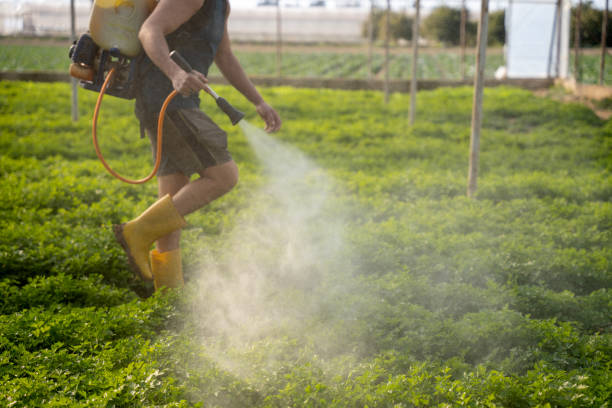 Pest Control Cost in Hannibal, MO
