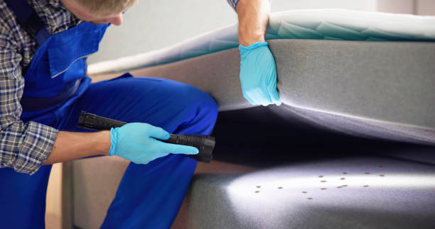 Best Pest Control for Homes  in Hannibal, MO