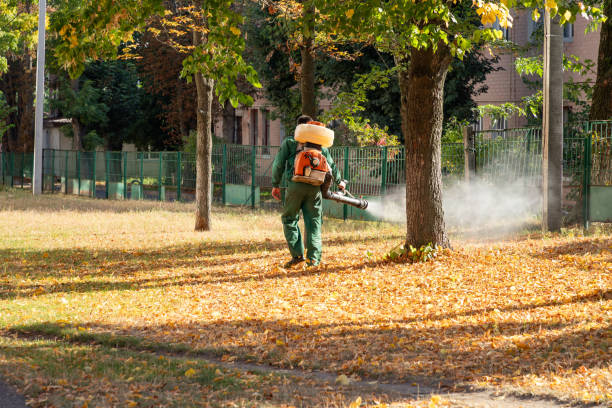  Hannibal, MO Pest Control Pros