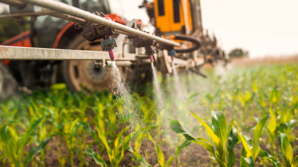Best Pest Removal Services  in Hannibal, MO