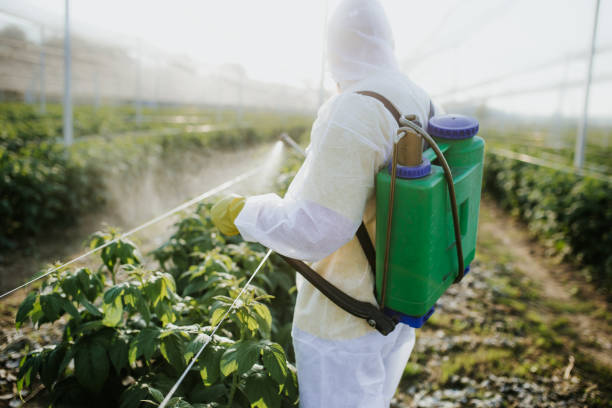 Best Commercial Pest Control Services  in Hannibal, MO